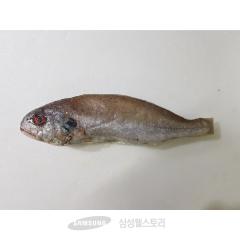 국내산 백조기 95~105G, 꼬리지느러미 제거